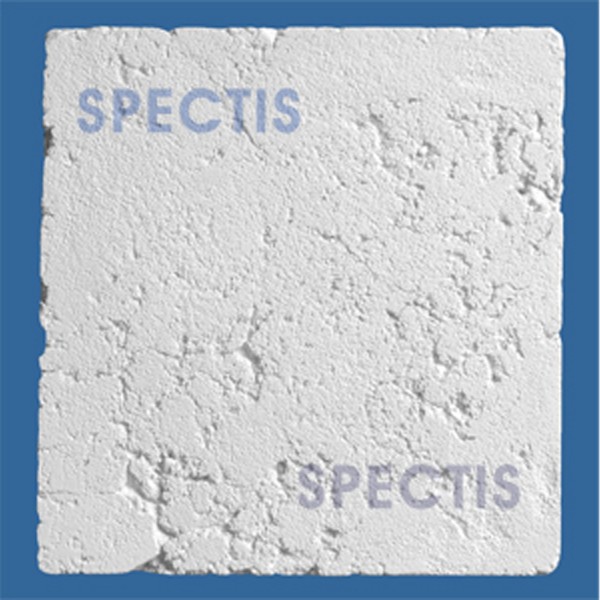 Spectis Square Decorative Rosette - CR108