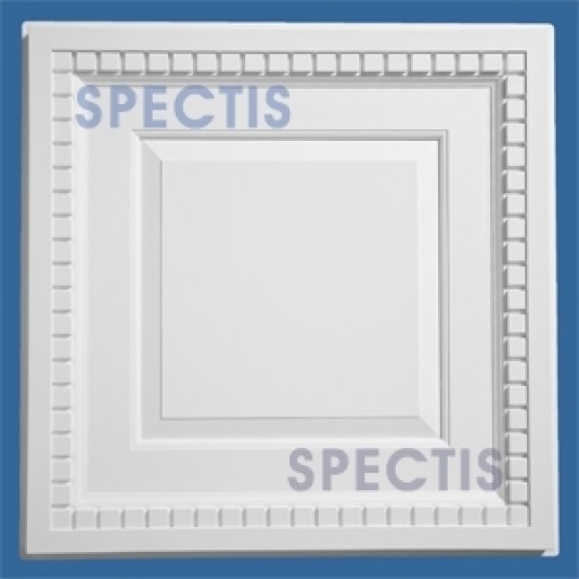 Spectis Decorative Square Ceiling Panel - CP2902