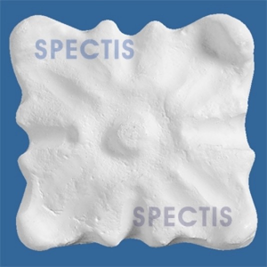 Spectis Decorative Rosette - CR1